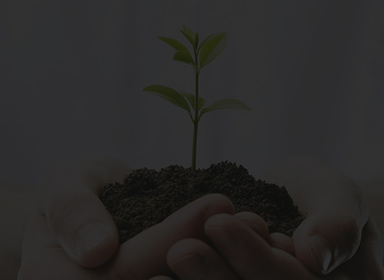 918.com(中国区)官方网站